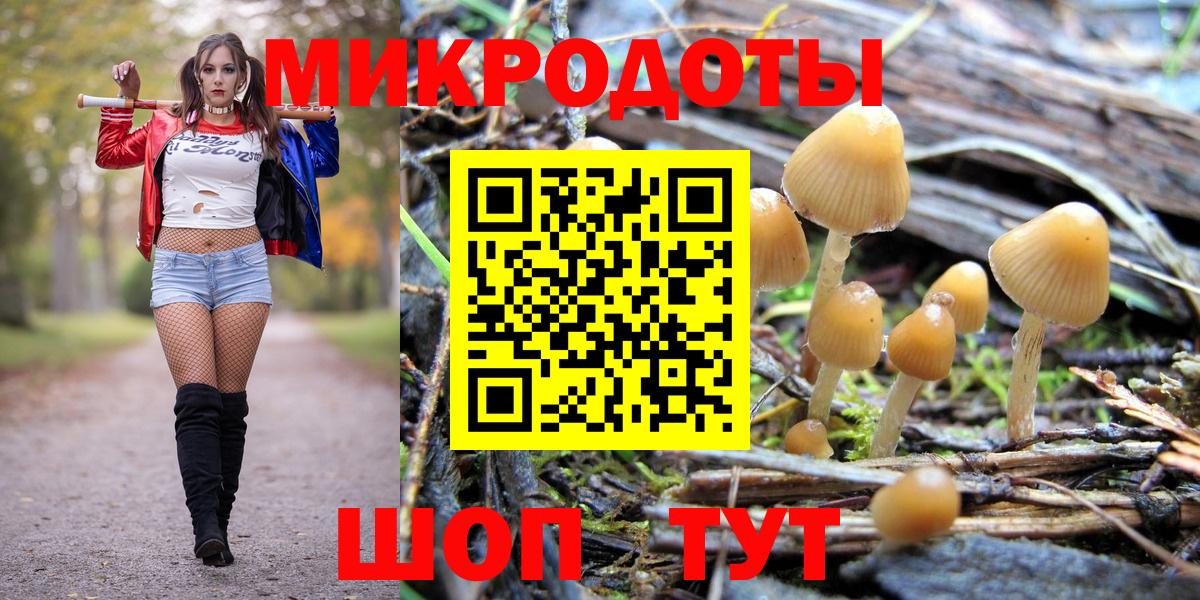Псилоцибиновые грибы мицелий Гусев
