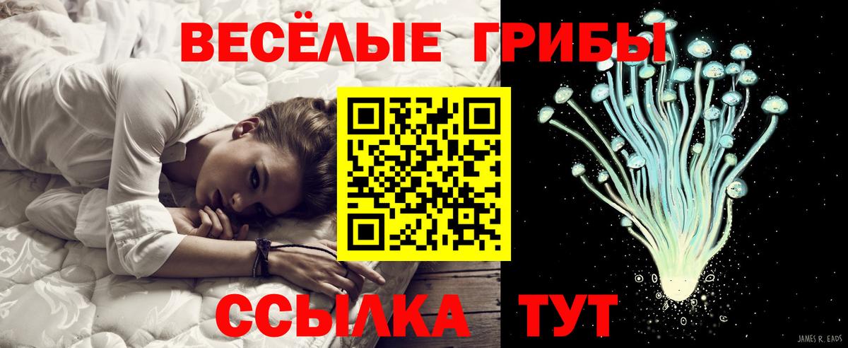 Псилоцибиновые грибы Psilocybine cubensis  Вход с VPN  Псилоцибиновые грибы Psilocybe  Гусев 